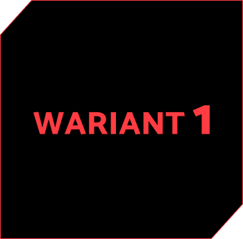 Wariant1