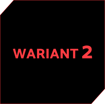 Wariant2